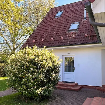 Kormoran 19 青斯特