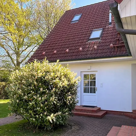 Kormoran 19 青斯特